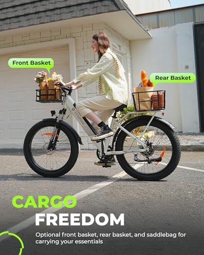 Electric Bike for Adults 750W 28mph with Removable Battery and Fat Tire W3858
