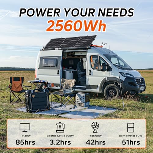 12V 100Ah LiFePO4 Battery with Built-in 100A BMS D2856