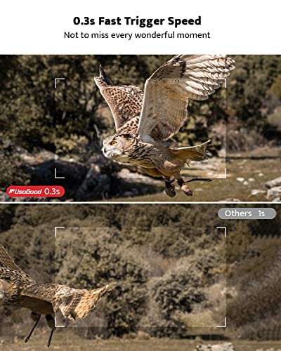 4K 36MP Trail Camera with Night Vision, Motion Activated, Waterproof IP66 F21960