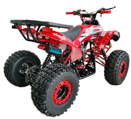 125cc ATV Fully Automatic with Reverse Double Headlights LED Gas 4 Wheeler U53754