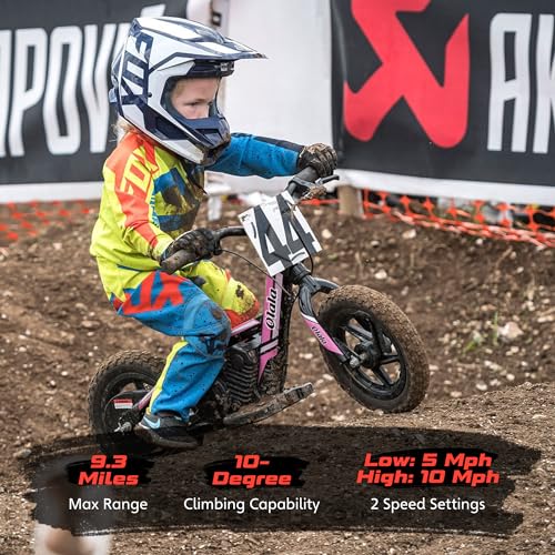Electric Dirt Bike for Kids Aged 3-6, 170W Motor, 24V Battery, 12IN Tires J8048