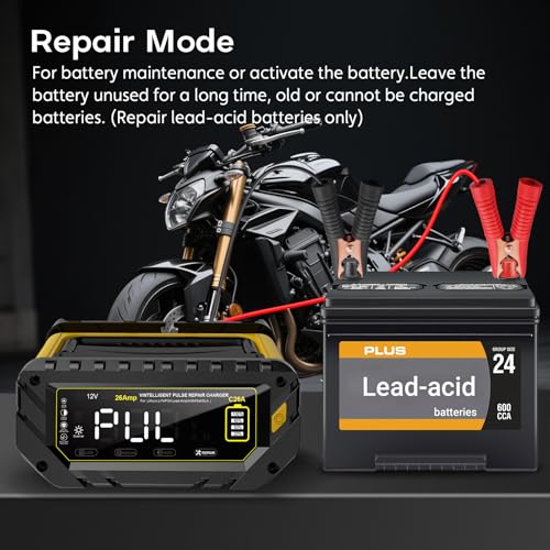 12V 24V 16-Amp Smart Battery Charger for Car Truck Boat Marine D264