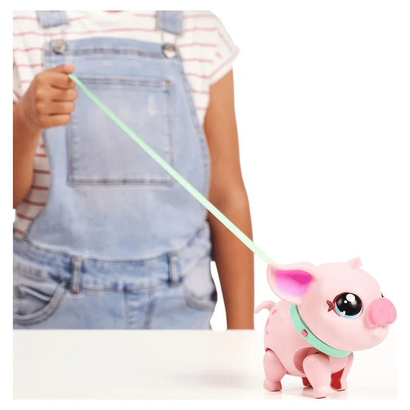 My Pet Pig K761854