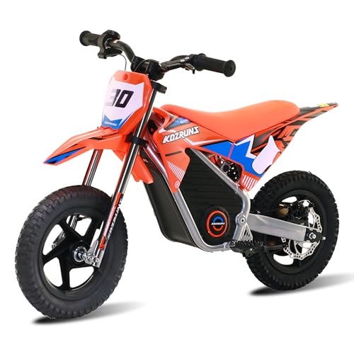 Electric Dirt Bike for Kids Aged 4-8, 350W Brushless Motor, 14'' Off-Road Tires, Blue Y255
