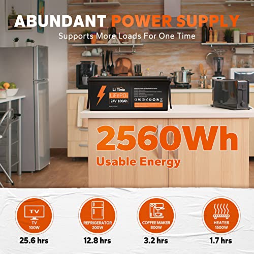 12V 100Ah LiFePO4 Battery with Built-in 100A BMS D2856