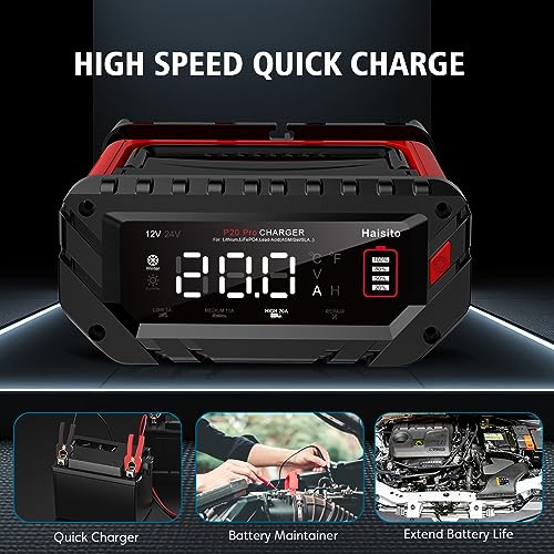 20 Amp Lithium Battery Charger, 12V and 24V LiFePO4, Lead-Acid Portable Car Battery Charger A814524