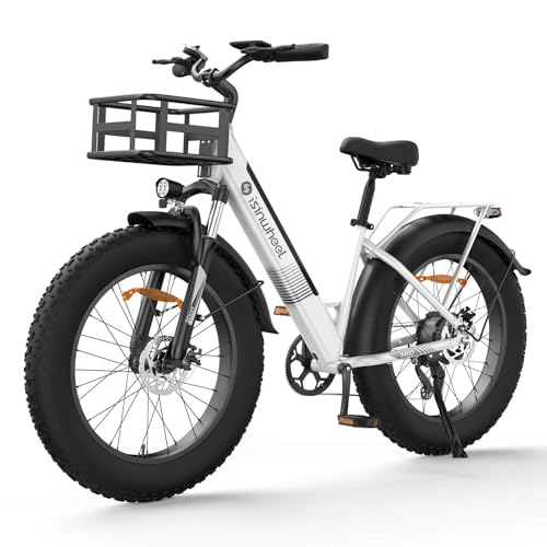Electric Bike for Adults 750W 28mph with Removable Battery and Fat Tire W3858