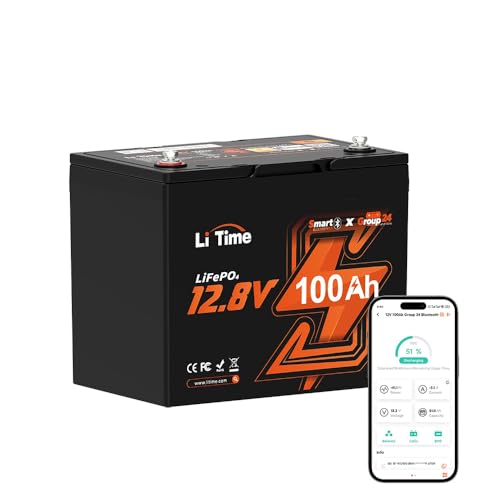 12V 100Ah LiFePO4 Battery with Built-in 100A BMS D2856