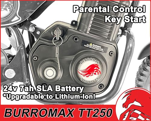 Electric Dirt Bike for Kids, 250W, 14 Mph, Off-Road Mini Bike M625363