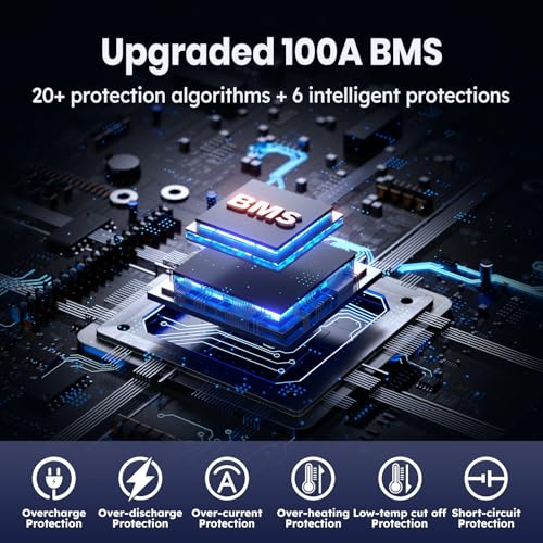 12V 100Ah LiFePO4 Marine Battery with Low-Temp Protection and 100A BMS J24276