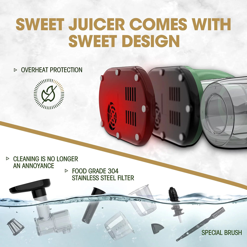 Slow Masticating Juicer for Vegetables and Fruits, Cold Press Extractor I446