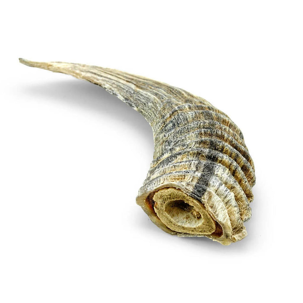 Lamb Horn Dog Chew, Assorted Sizes R683