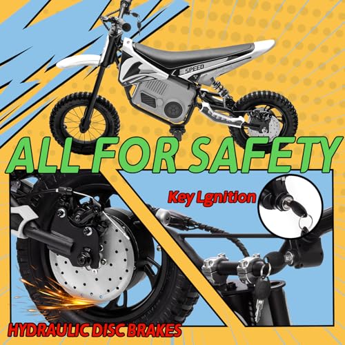 Electric Dirt Bike for Kids 8-14, 36V 350W, Off-Road Motorcycle I642