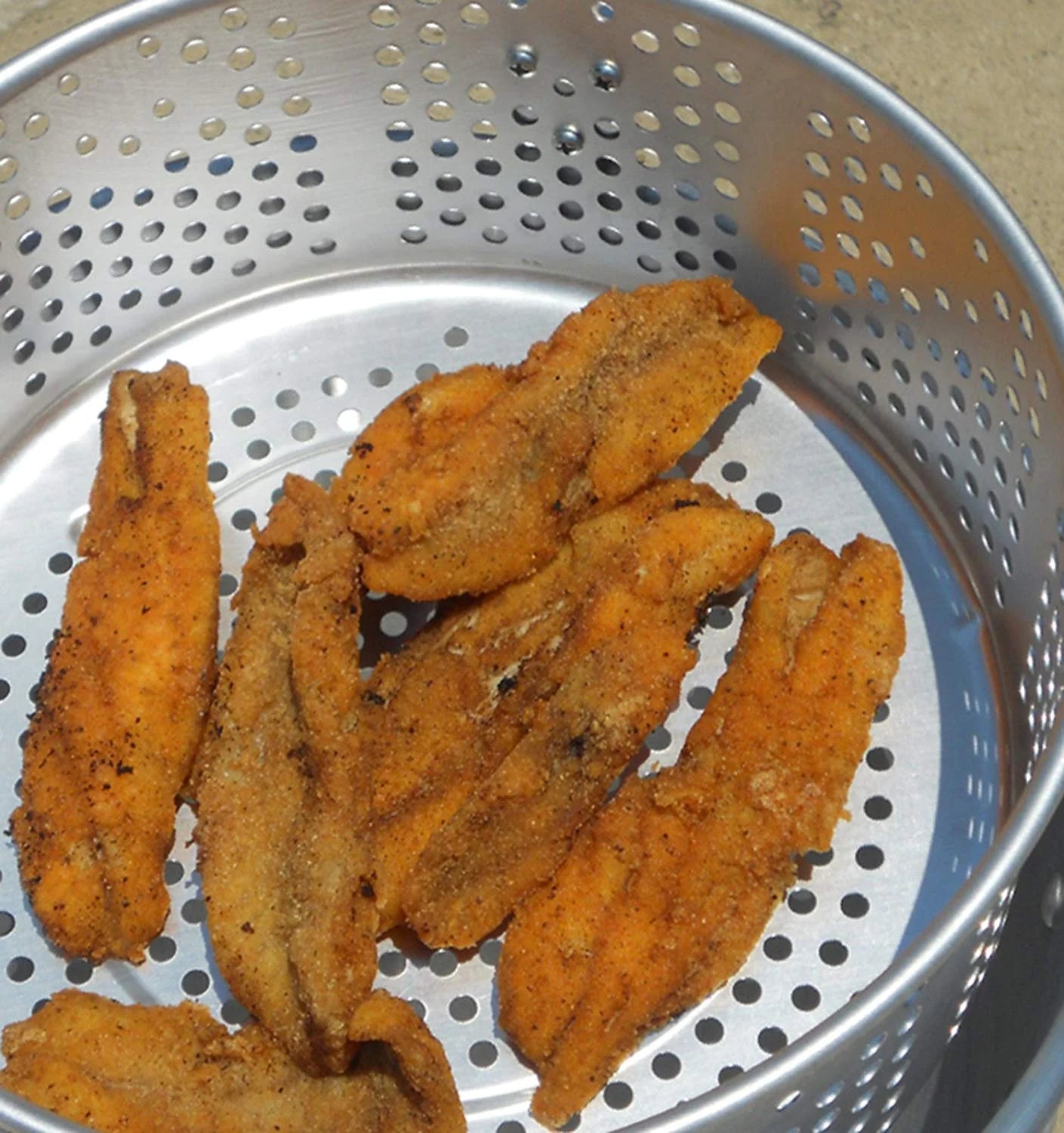 10Qt Outdoor Fish Fryer J92400