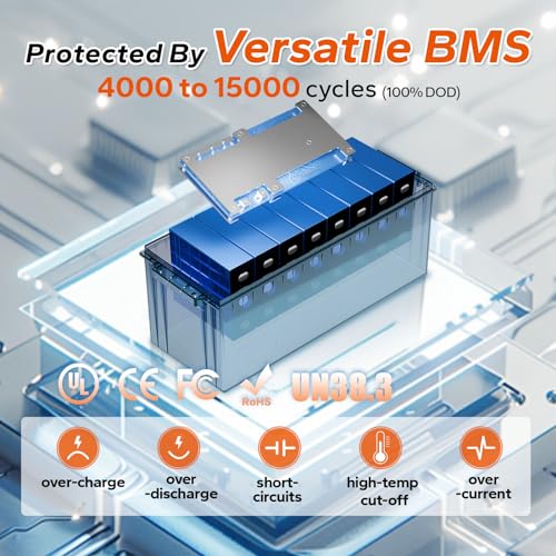 12V 100Ah LiFePO4 Battery with Built-in 100A BMS D2856