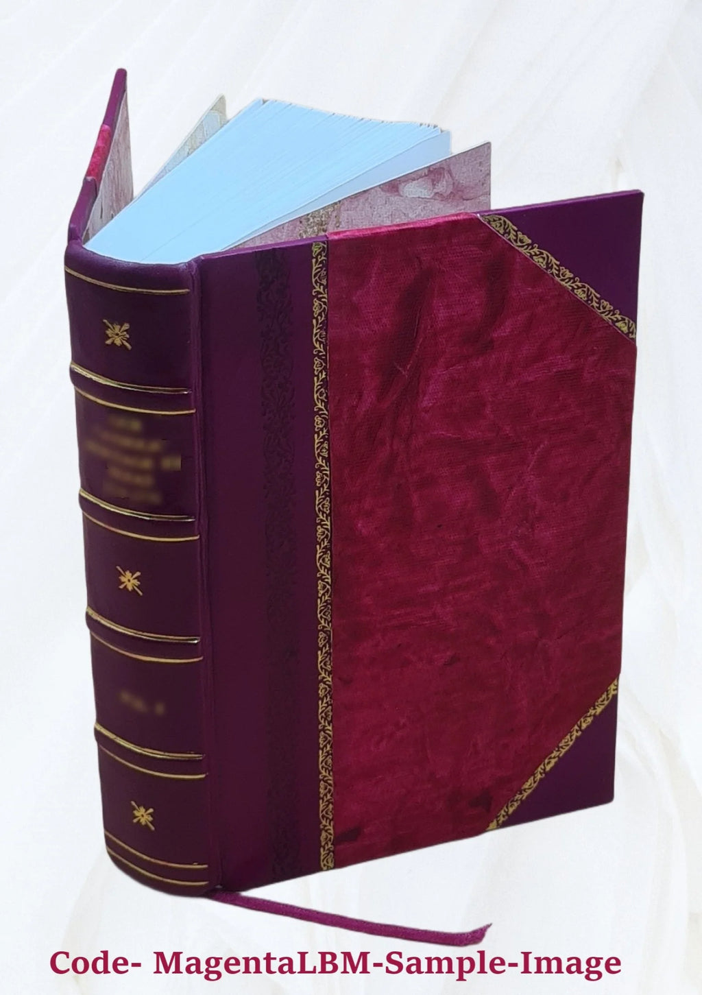 Diccionario Francés-Español y Español-Francés, edición 1870 H833