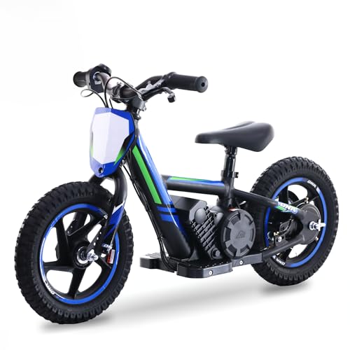 Electric Dirt Bike for Kids Aged 3-6, 170W Motor, 24V Battery, 12IN Tires J8048