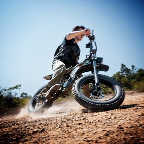 Electric Bike for Adults – 20" Fat Tire, 1200W Motor, 48V Battery, 7-Speed, Dual Disc Brakes D16418