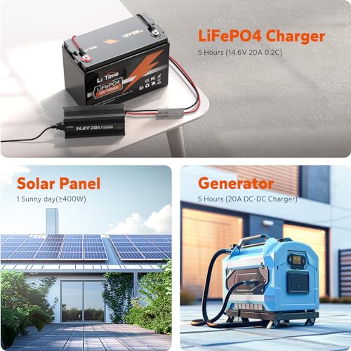 12V 100Ah LiFePO4 Battery with Built-in 100A BMS D2856