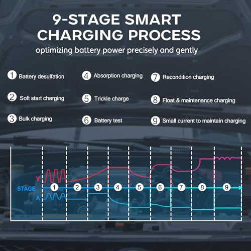 12V 24V 16-Amp Smart Battery Charger for Car Truck Boat Marine D264