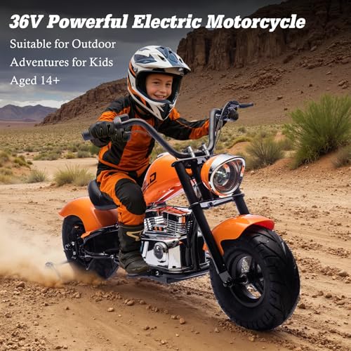Electric Dirt Bike for Kids 14+, 360W Motor, 15.5 MPH, Gray Q330721
