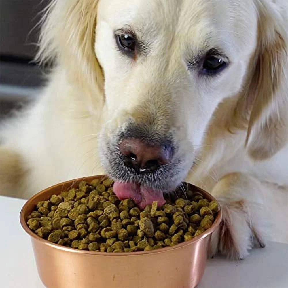 Grass-Fed Beef & Ancient Grains Dry Dog Food, 4 lbs Q25321