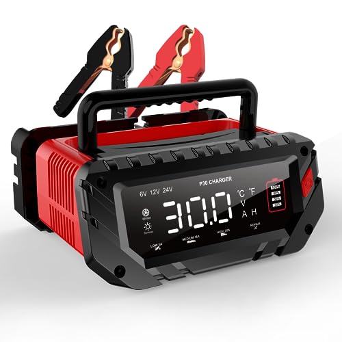 20 Amp Lithium Battery Charger, 12V and 24V LiFePO4, Lead-Acid Portable Car Battery Charger A814524