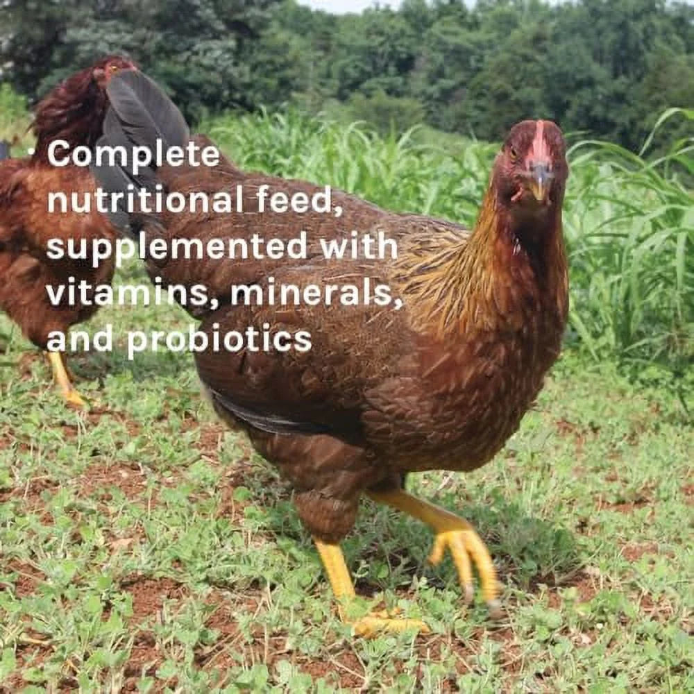 Wheat-Free Chicken Layer Feed for Laying Hens, 17% Protein, 25 lbs R9661