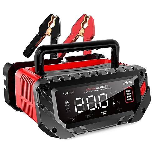 20 Amp Lithium Battery Charger, 12V and 24V LiFePO4, Lead-Acid Portable Car Battery Charger A814524