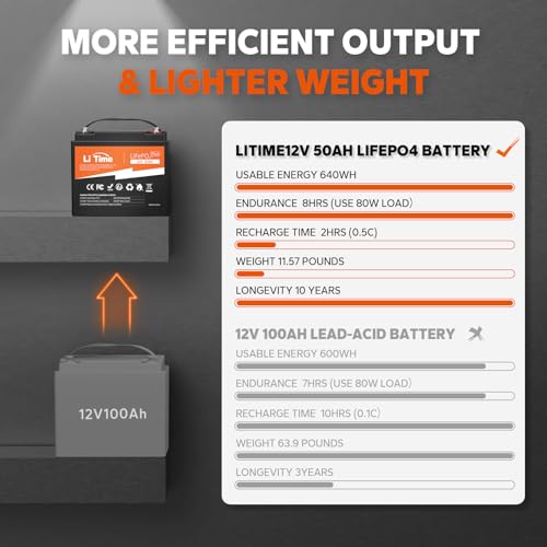 12V 100Ah LiFePO4 Battery with Built-in 100A BMS D2856