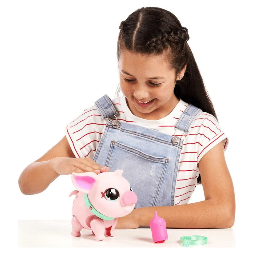 My Pet Pig K761854