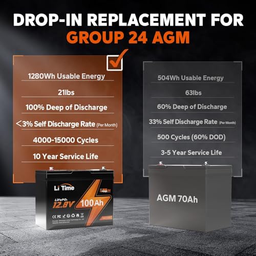 12V 100Ah LiFePO4 Battery with Built-in 100A BMS D2856