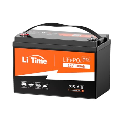 12V 100Ah LiFePO4 Battery with Built-in 100A BMS D2856