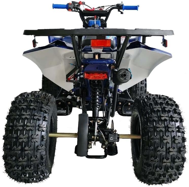 125cc ATV Fully Automatic with Reverse Double Headlights LED Gas 4 Wheeler U53754