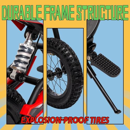 Electric Dirt Bike for Kids 8-14, 36V 350W, Off-Road Motorcycle I642