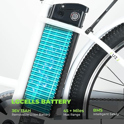 Electric Bike for Adults 750W 28mph with Removable Battery and Fat Tire W3858