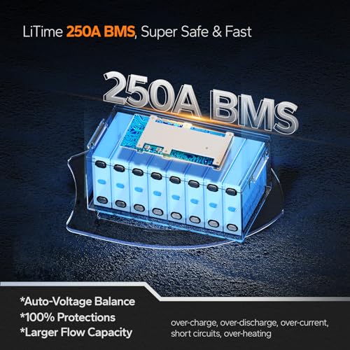 12V 100Ah LiFePO4 Battery with Built-in 100A BMS D2856