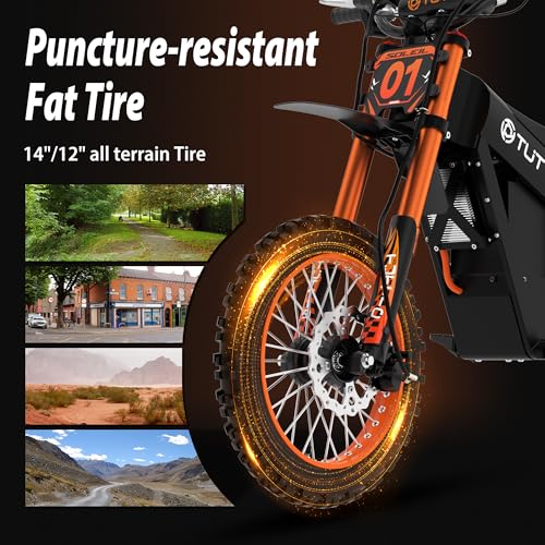 Electric Dirt Bike 48V 21AH Removable Battery Hydraulic Brakes Q101470