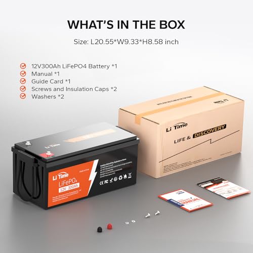 12V 100Ah LiFePO4 Battery with Built-in 100A BMS D2856