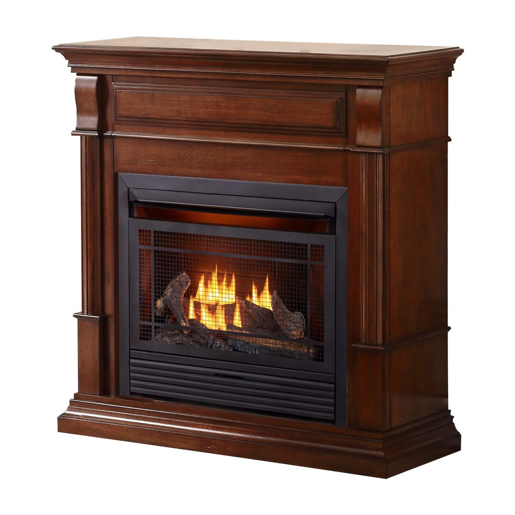 Dual Fuel Ventless Gas Fireplace with Remote Control L4694