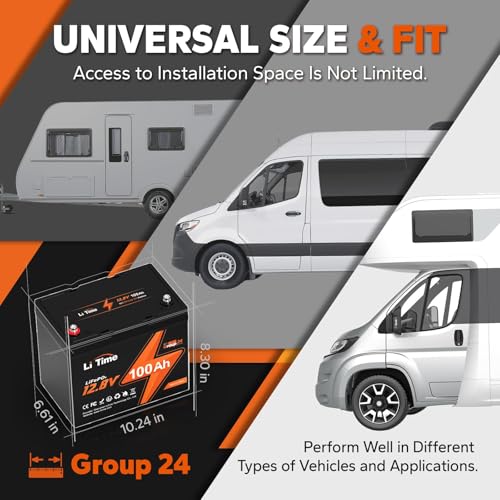12V 100Ah LiFePO4 Battery with Built-in 100A BMS D2856