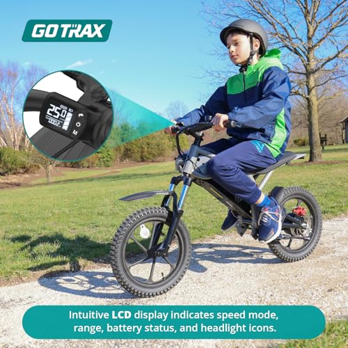 Electric Dirt Bike, 16" Pneumatic Tires, Dual Suspension & Disc Brake Y95584