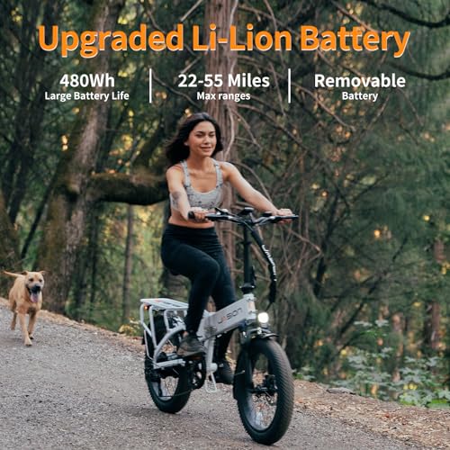 Folding Electric Bike for Adults, 1200W Peak Motor, 28MPH Max Speed, 48V 10AH Removable Battery, 20" Fat Tire M14323