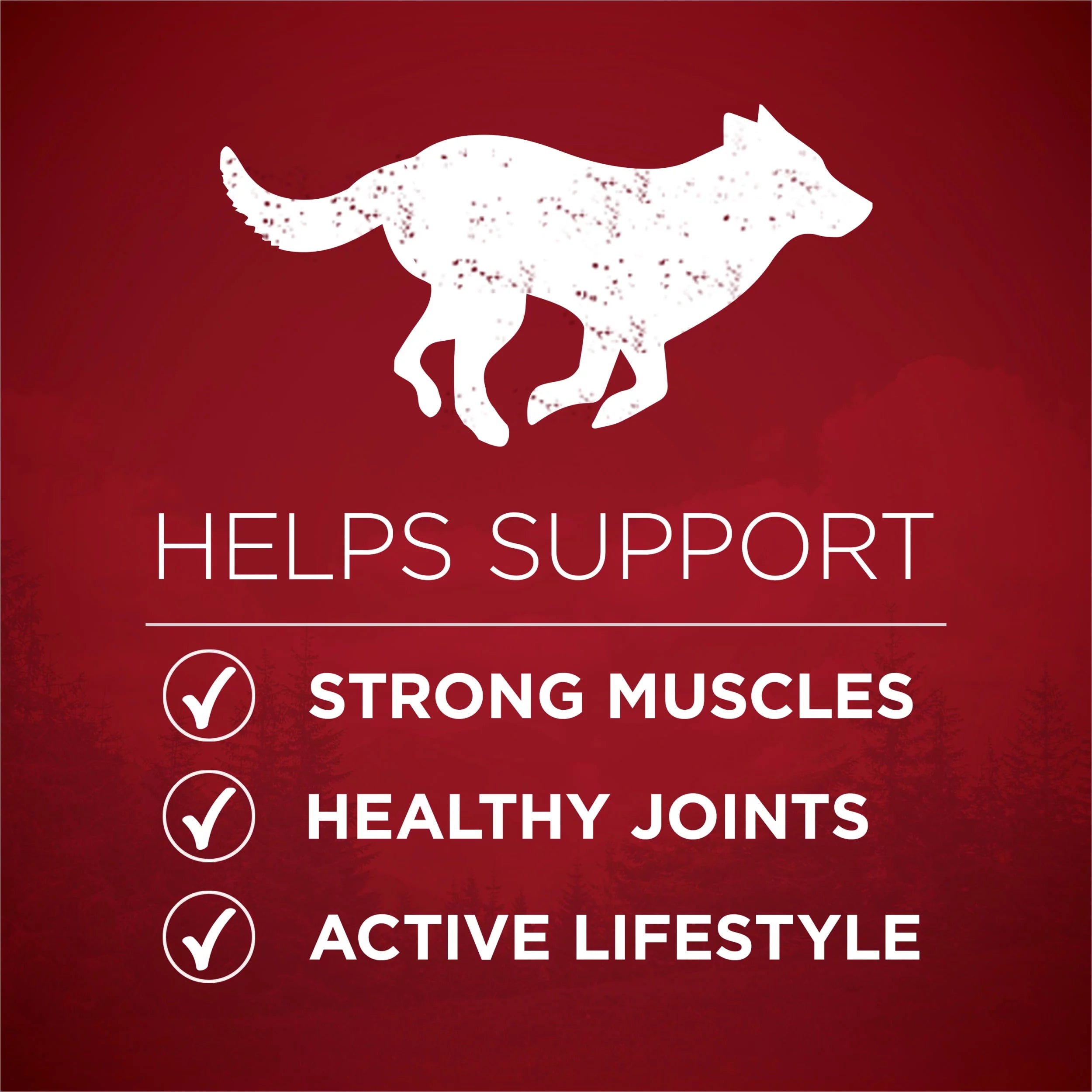 High Protein Dog Food with Real Beef and Salmon H4940