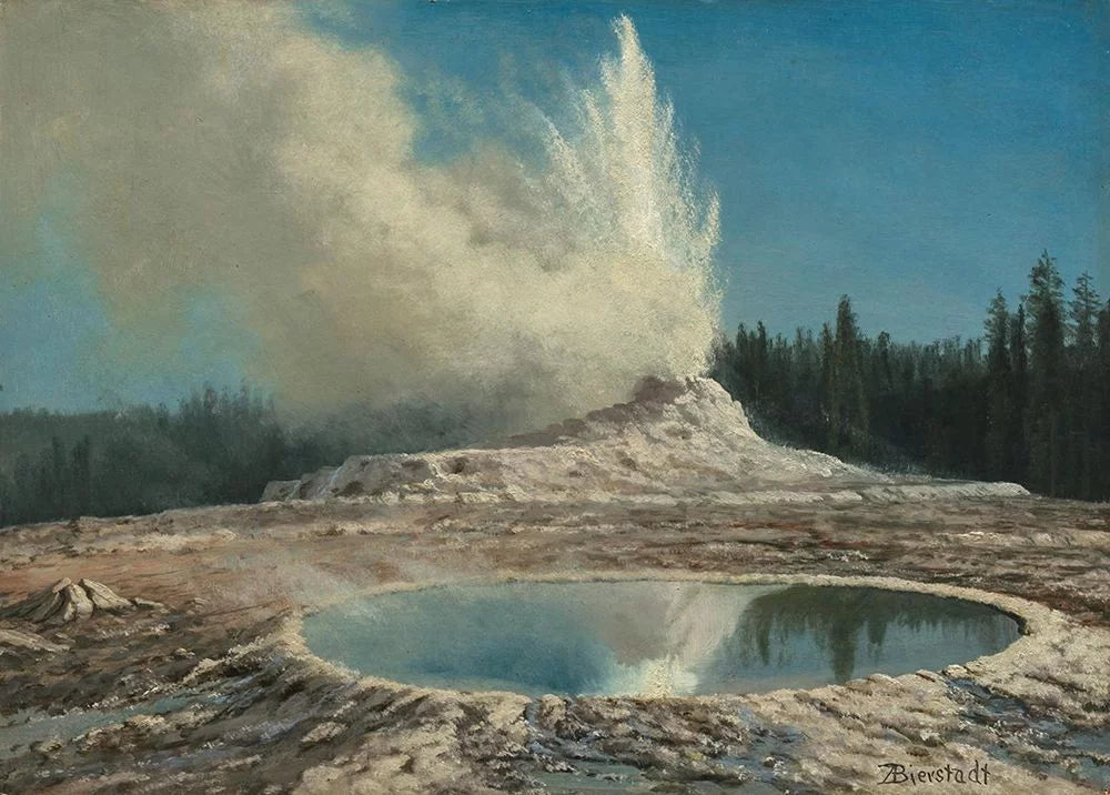 Geyser Yellowstone Park 14x11 White Wood Framed Art Print A540991