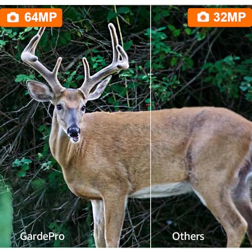 Trail Camera, 64MP 1296p, No Glow Night Vision, 100ft Range, Motion Activated Waterproof Y85186