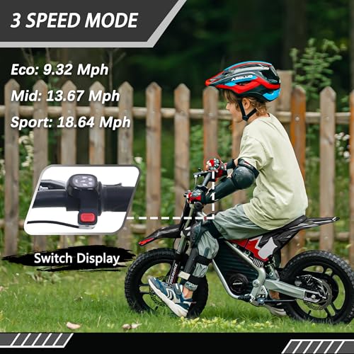 Electric Dirt Bike for Kids Aged 4-8, 350W Brushless Motor, 14'' Off-Road Tires, Blue Y255