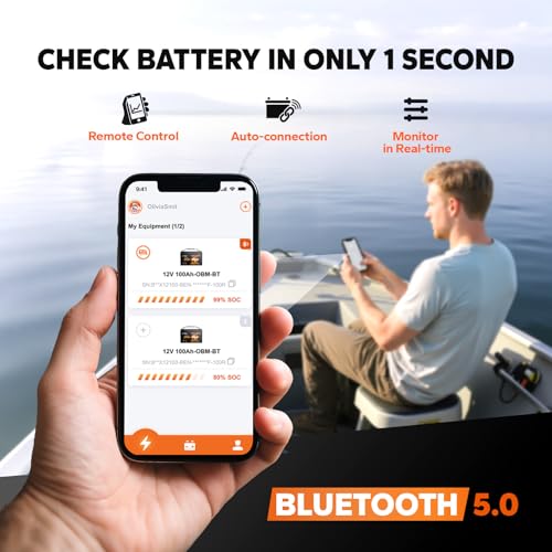 12V 100Ah LiFePO4 Battery with Built-in 100A BMS D2856