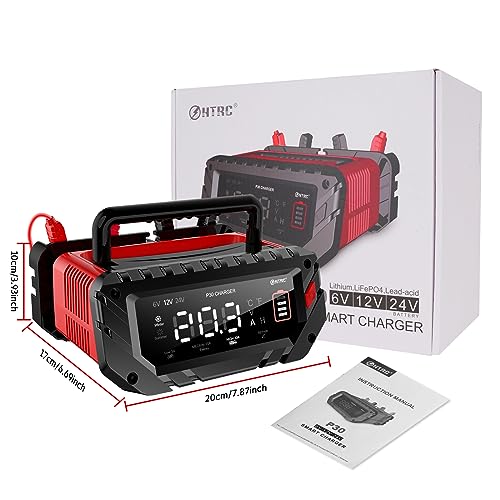 20 Amp Lithium Battery Charger, 12V and 24V LiFePO4, Lead-Acid Portable Car Battery Charger A814524