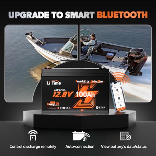 12V 100Ah LiFePO4 Battery with Built-in 100A BMS D2856